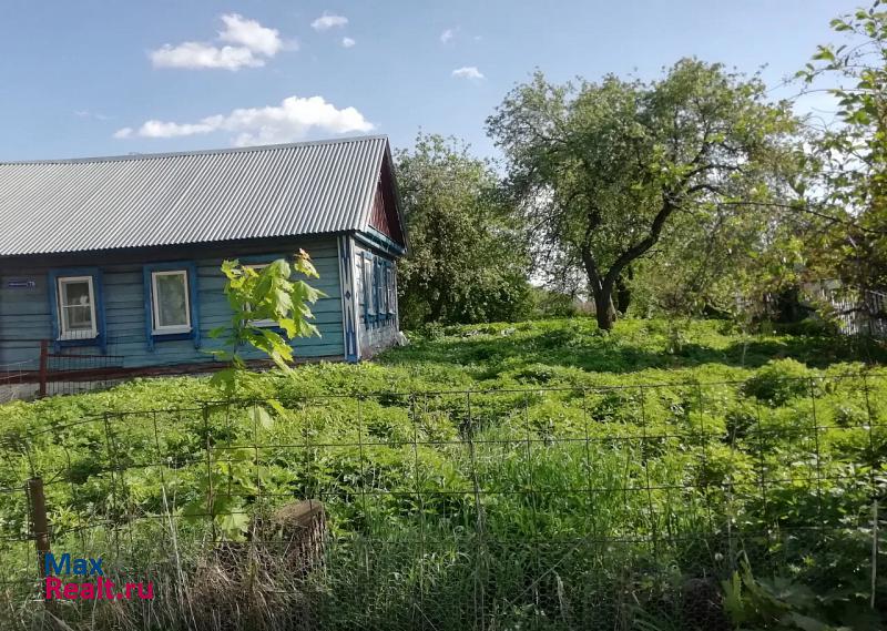 Болохово деревня Большие Калмыки, Центральная улица