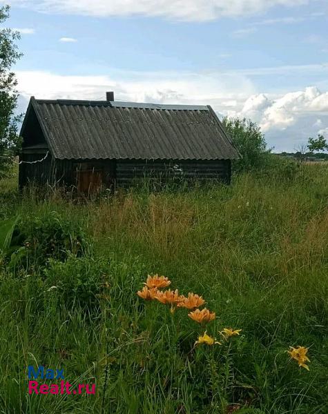 Панковка деревня Борки частные дома