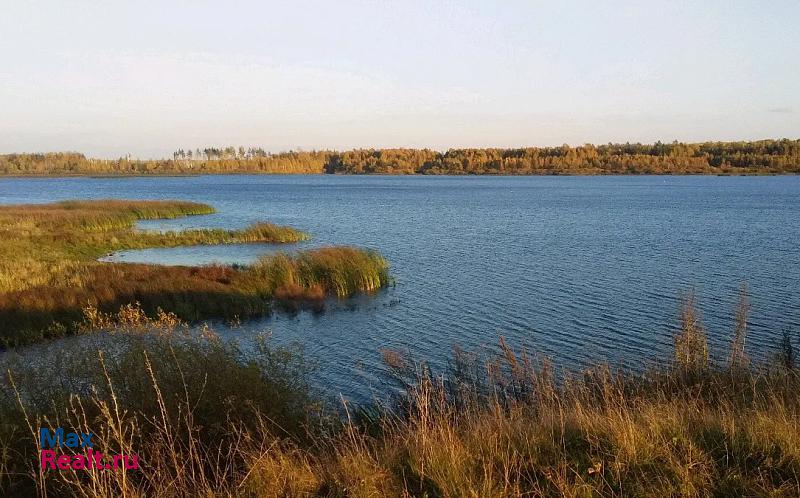 Вознесенское село Илев