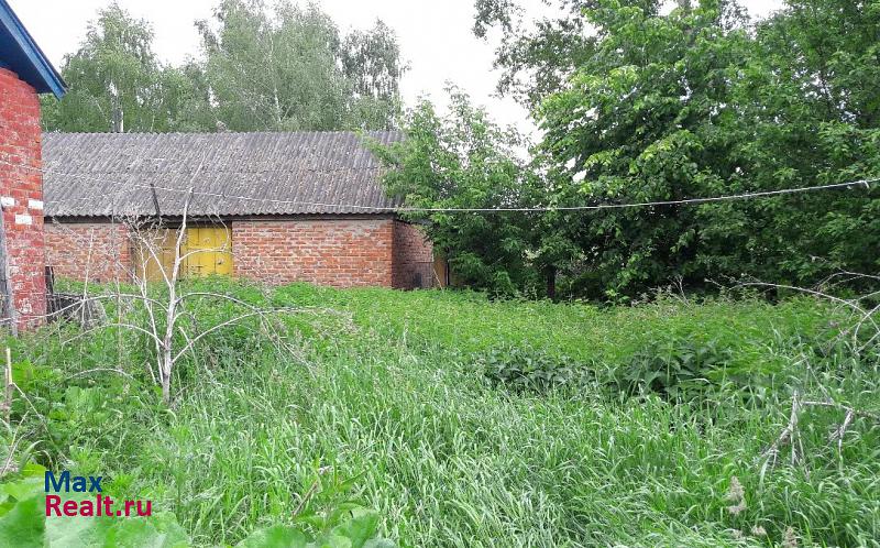 Староюрьево село Подгорное