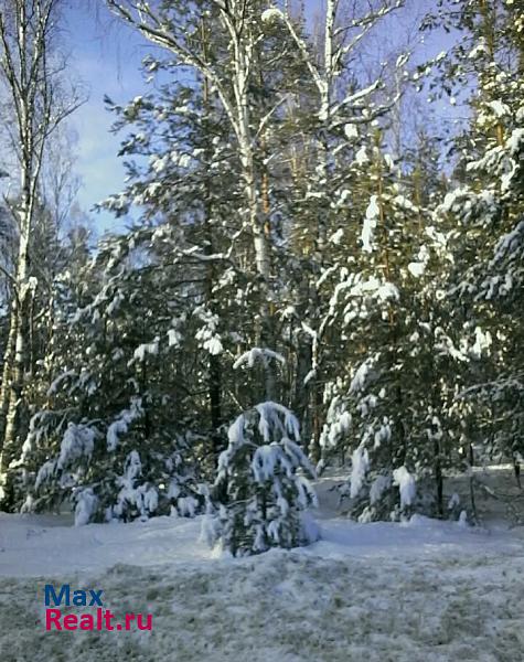 Ижевское село Свинчус частные дома