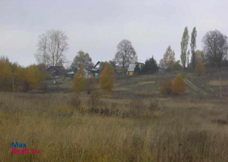 Богородское Владимирская область, Александровский район, деревня Звягины Горы