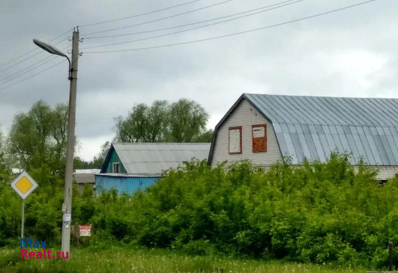 Ишеевка село Новая Беденьга, Центральная улица, 25