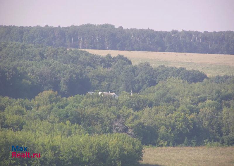 Новосемейкино село Чубовка