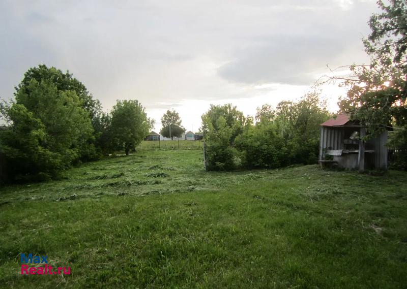 Большая Елховка село Аксёново, улица Ленина, 98 частные дома