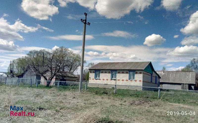 Большое Болдино Республика Мордовия, Большеигнатовский район, село Большое Игнатово, улица Максима Горького