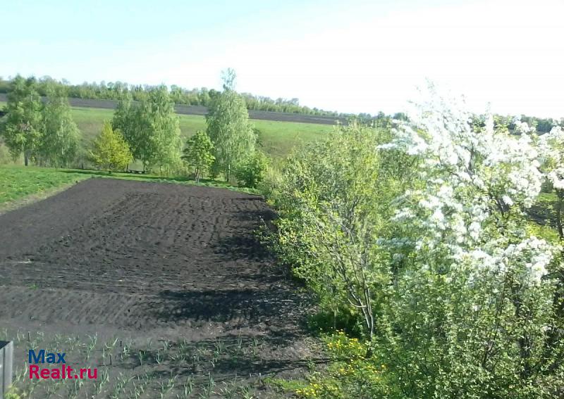 Ржакса деревня Серебряное