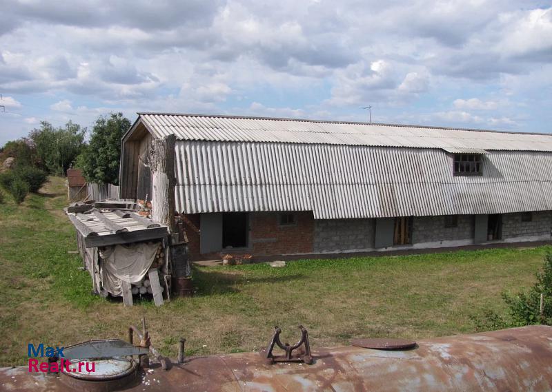 Сернур деревня Йошкар Ушем