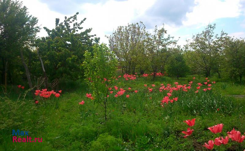 Красное село Красное, переулок Победы