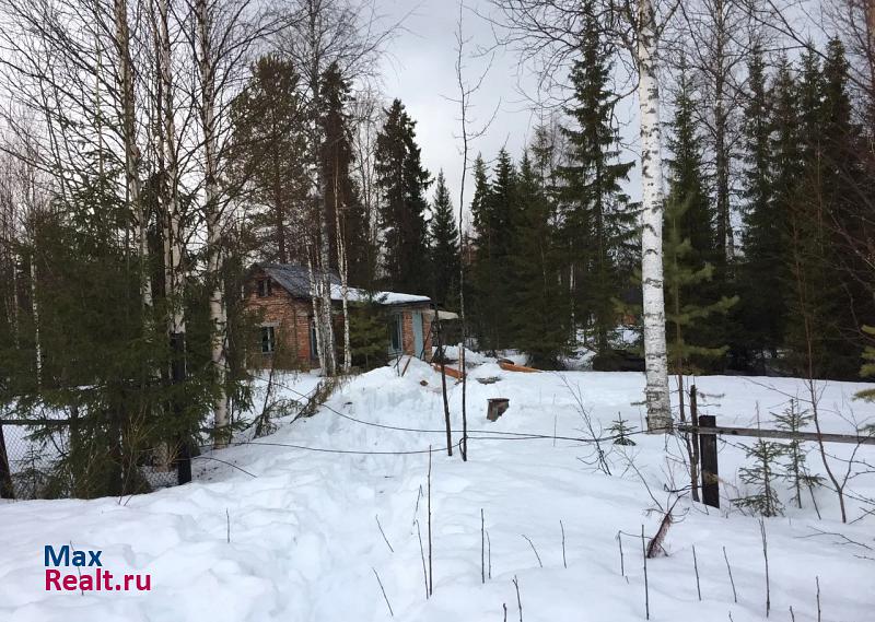 Ярега садовое товарищество Третьи Ярегские дачи