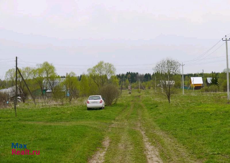 Балакирево Александровский район, деревня Копылиха