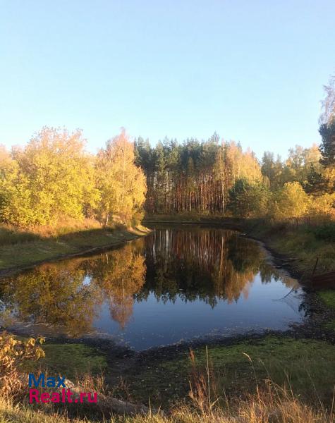 Белоомут городской округ Луховицы, деревня Ольшаны