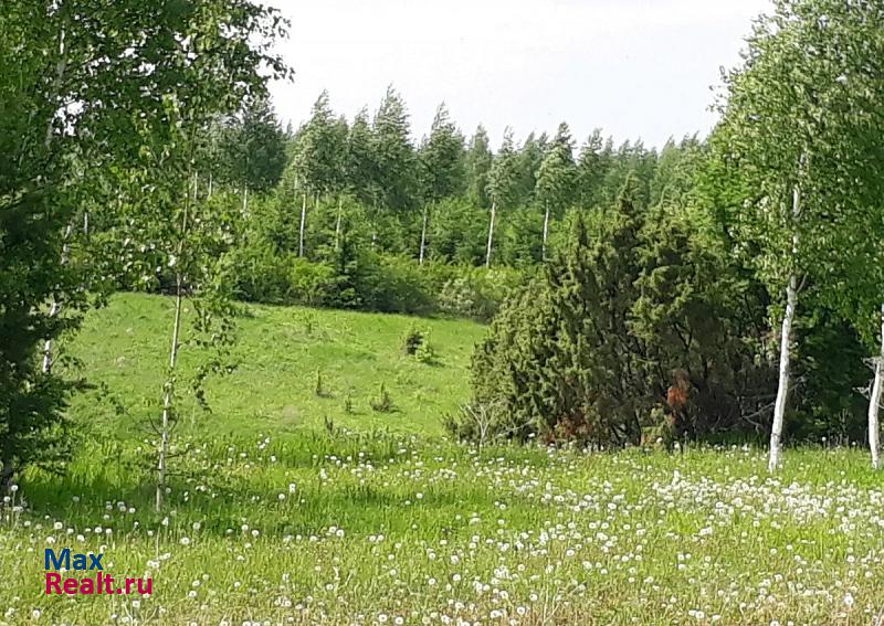 Балтаси посёлок городского типа Балтаси, улица А. Алиша