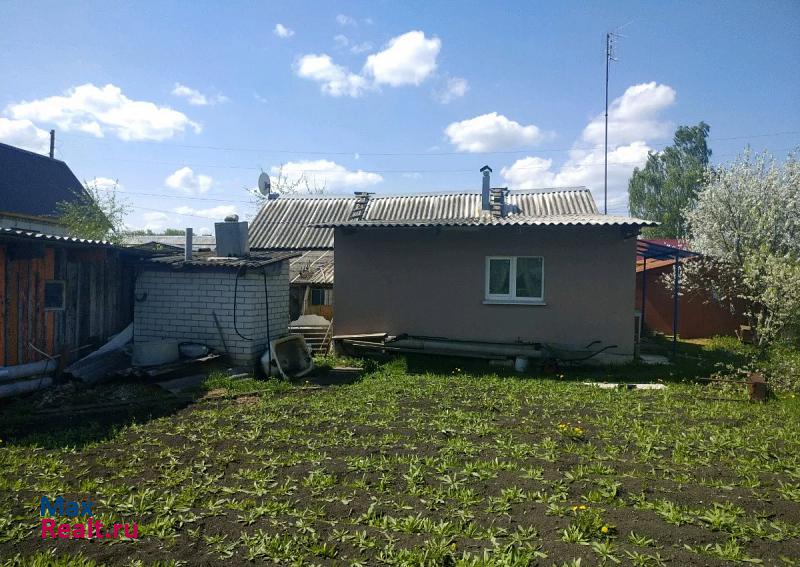 Александро-Невский поселок городского типа Александро-Невский, Пролетарский переулок, 6