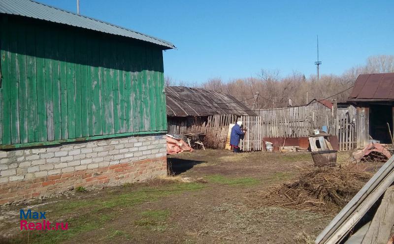 Алексеевка село Алексеевка, Ленинская улица