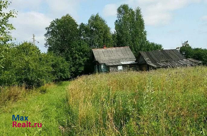 Плес Костромская область, Красносельский район, д.Антоновское