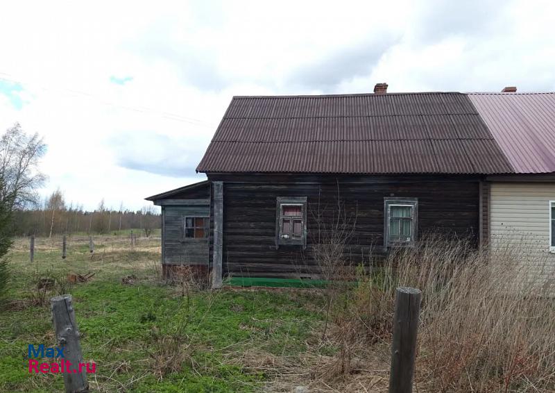 Большое Село деревня Большое Лопатино