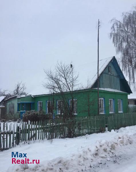 Ершичи городской посёлок Хотимск, Пушкинская улица