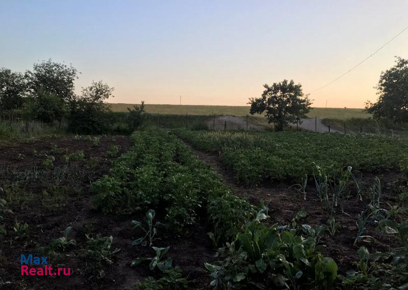 Золотухино деревня Апальково