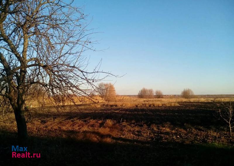 Воронеж село Новогремяченское, Октябрьская улица частные дома