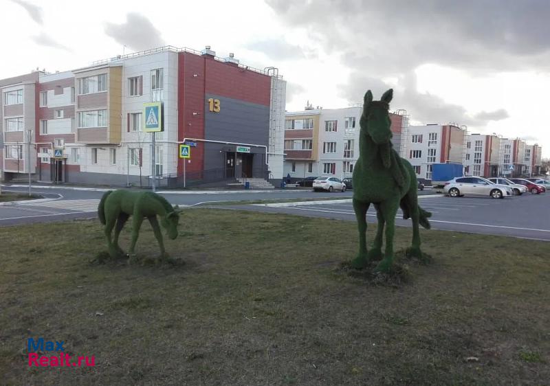 Шигалеевское сельское поселение, село Новое Шигалеево, улица Мусы Джалиля, 13 Казань продам квартиру