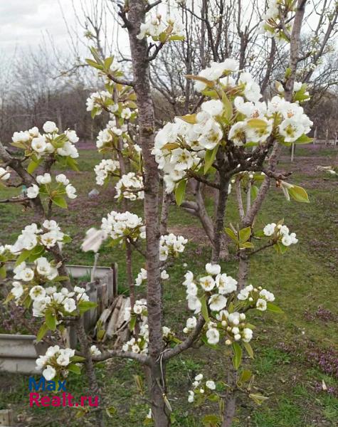 Гостагаевская станица Гостагаевская, Западная улица, 1