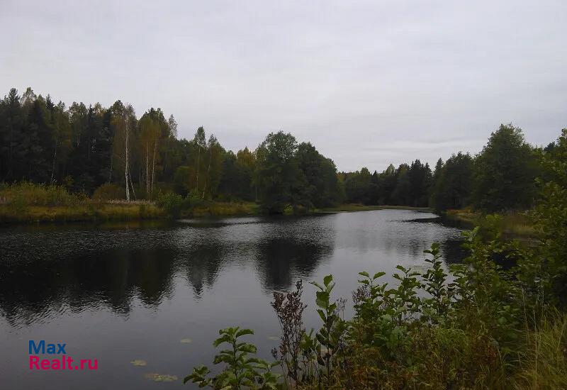 Большемурашкинский р-н, пос. городского типа Большое Мурашкино Большое Мурашкино купить квартиру