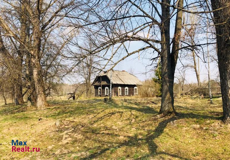 Клетня деревня Новая Осиновка, Речная улица