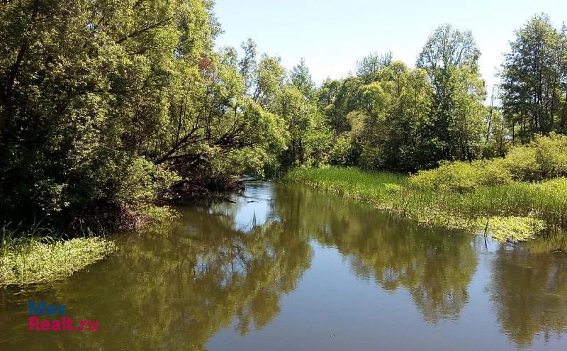 Петровское село Лосиная Лука