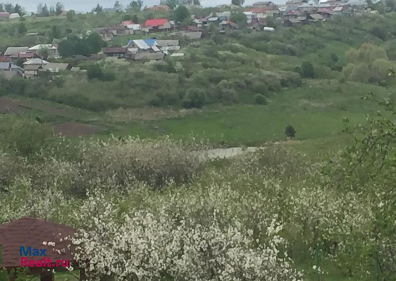 Бутурлино Бутурлинский район, с. Большие Бакалды, ул. Первомайская, д.39