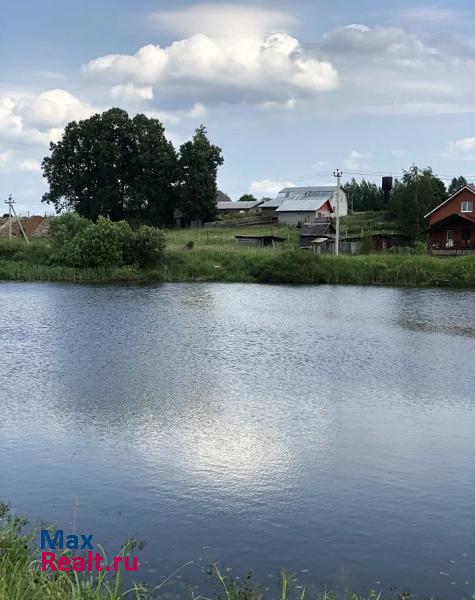 Глебовский городской округ Истра, деревня Ядромино