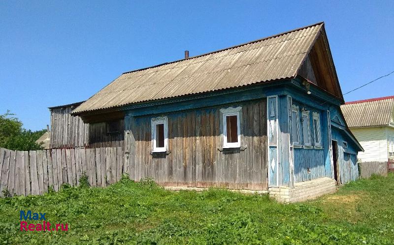 Ардатов Ардатовский район, село Хрипуново, улица Масловка