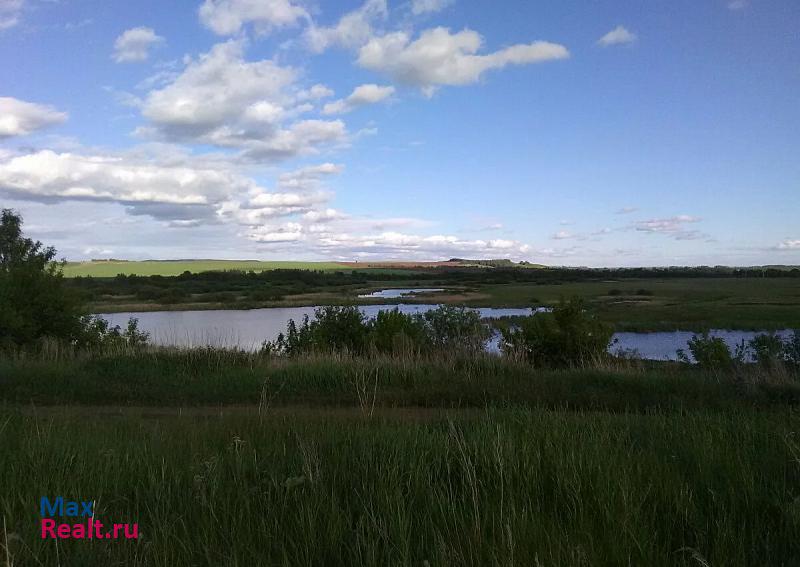 Мензелинск село Старая Матвеевка, Луговая улица