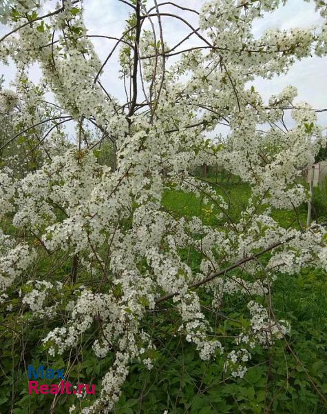 Воротынец село Фокино, улица Карла Маркса