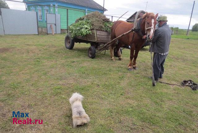 Борское Борский район, поселок Немчанка