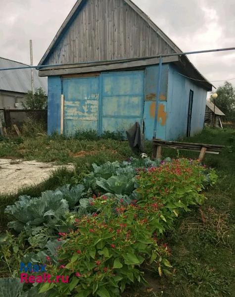 Старая Каменка село Оленевка, Центральная улица частные дома