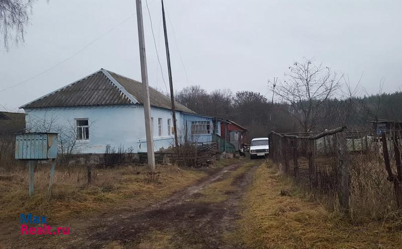 Хлевное село Введенка, улица Соловьиная Роща