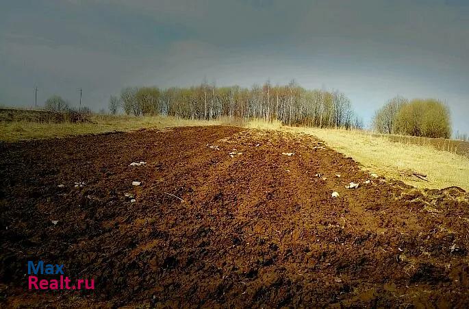 Белев Тульская обл, Белевский р-н, с. Мишенское