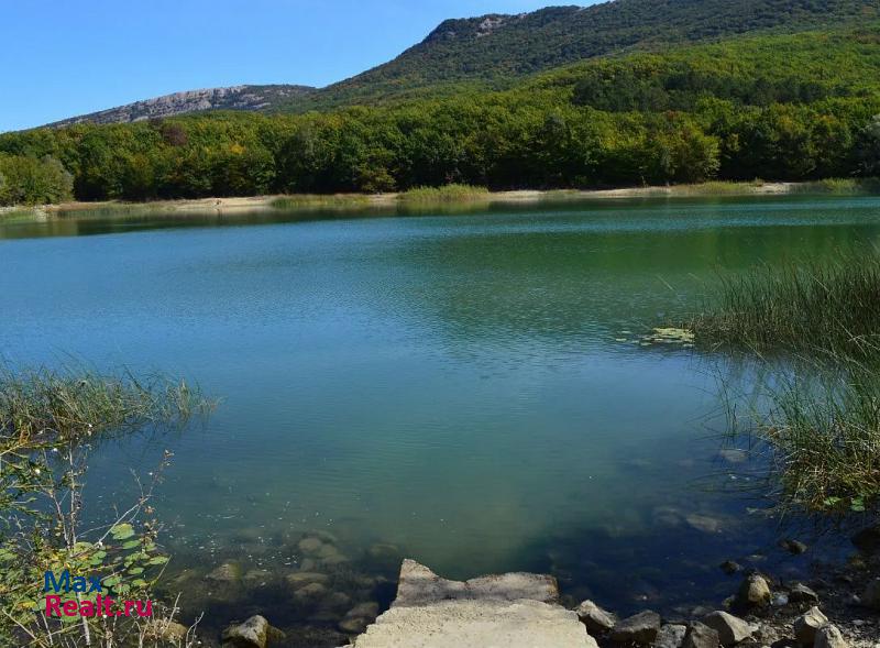 Алупка Севастополь, Орлиновский муниципальный округ, село Кизиловое