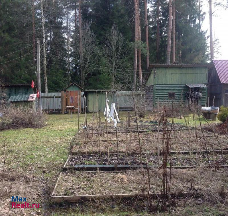 Вырица Гатчинский район, посёлок городского типа Вырица, улица Мичурина