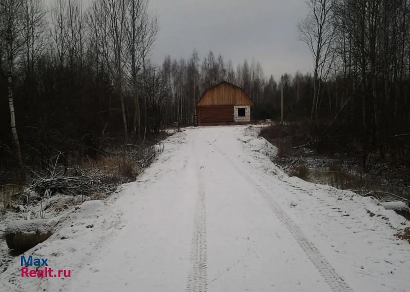 Спас-Клепики ул. Лодкино