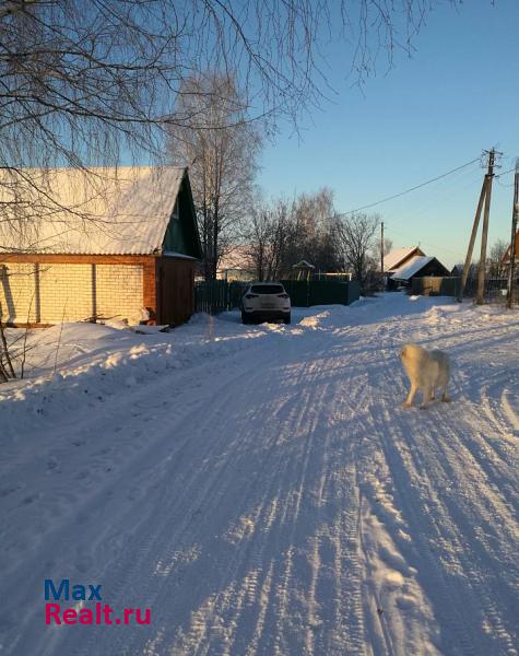 Чкаловск деревня Ванисово