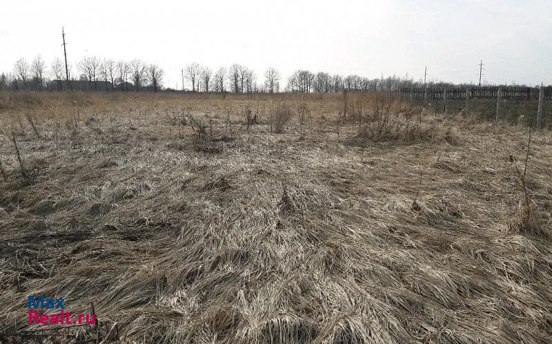 Спасск-Рязанский село Гавриловское, Верхняя улица, 17