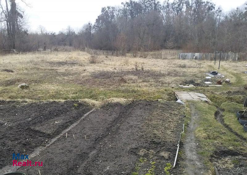 Багратионовск поселок Славское