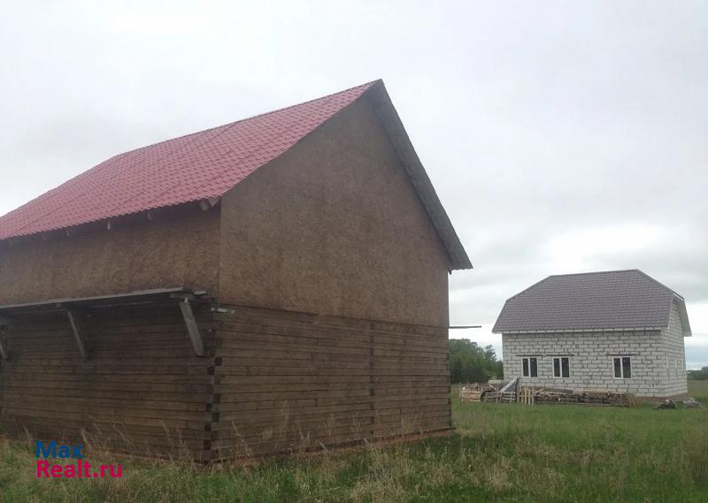 Лаишево село Державино