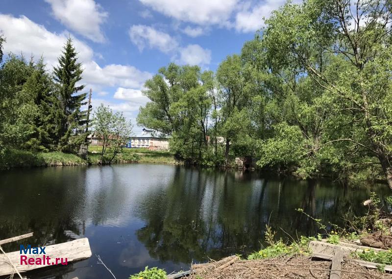 Лукоянов село Большое Мамлеево