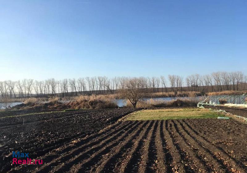 Ладожская хутор Александровский