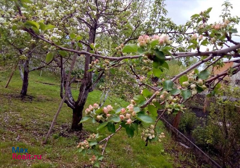 Алтайское село Алтайское, улица Карла Маркса, 241