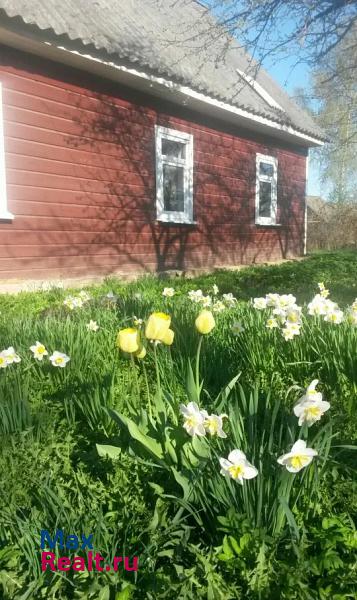 Печоры Печорский район, деревня Лазарево