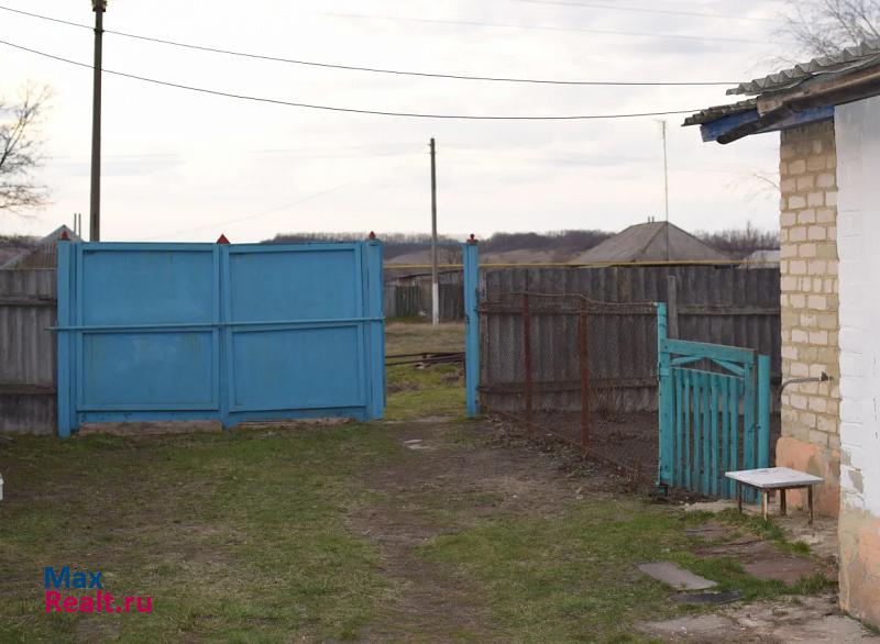 Прохоровка село Прелестное, улица П.И. Шпетного